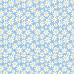 Miniature Marguerites